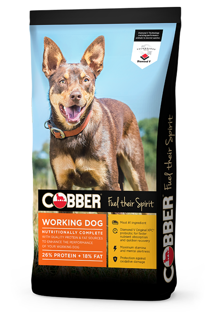 Cobber Working Dog 20kg