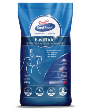 Prydes Easi Ride 20kg