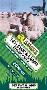 Ambos 14% Ewe & Lamb Nuts 20kg