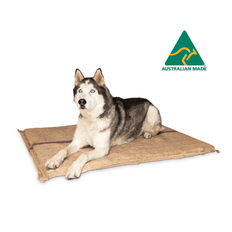 Dog Bed Foam Mattress - Hessian Jumbo (purple Strip)