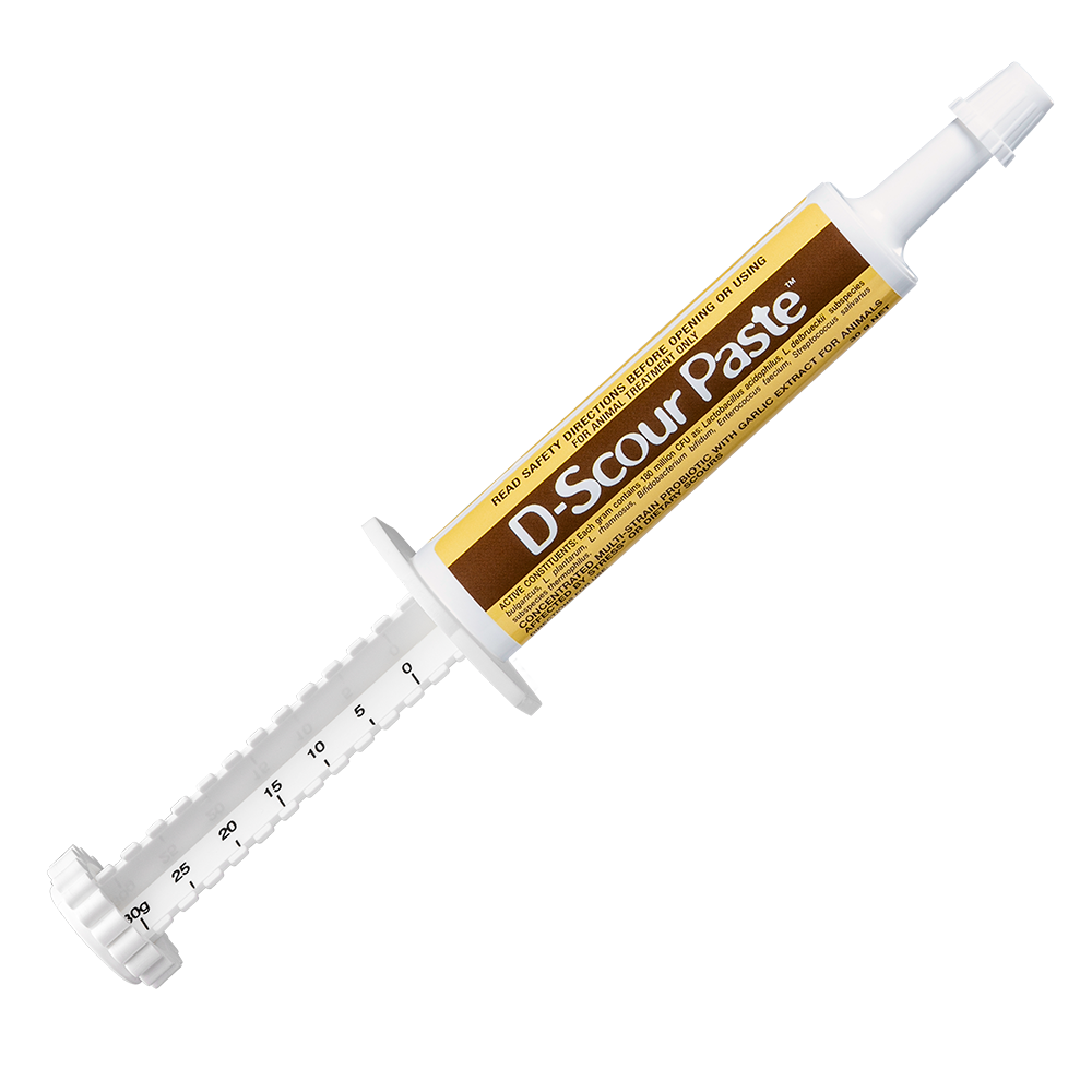 Iah D-scour Paste 30g