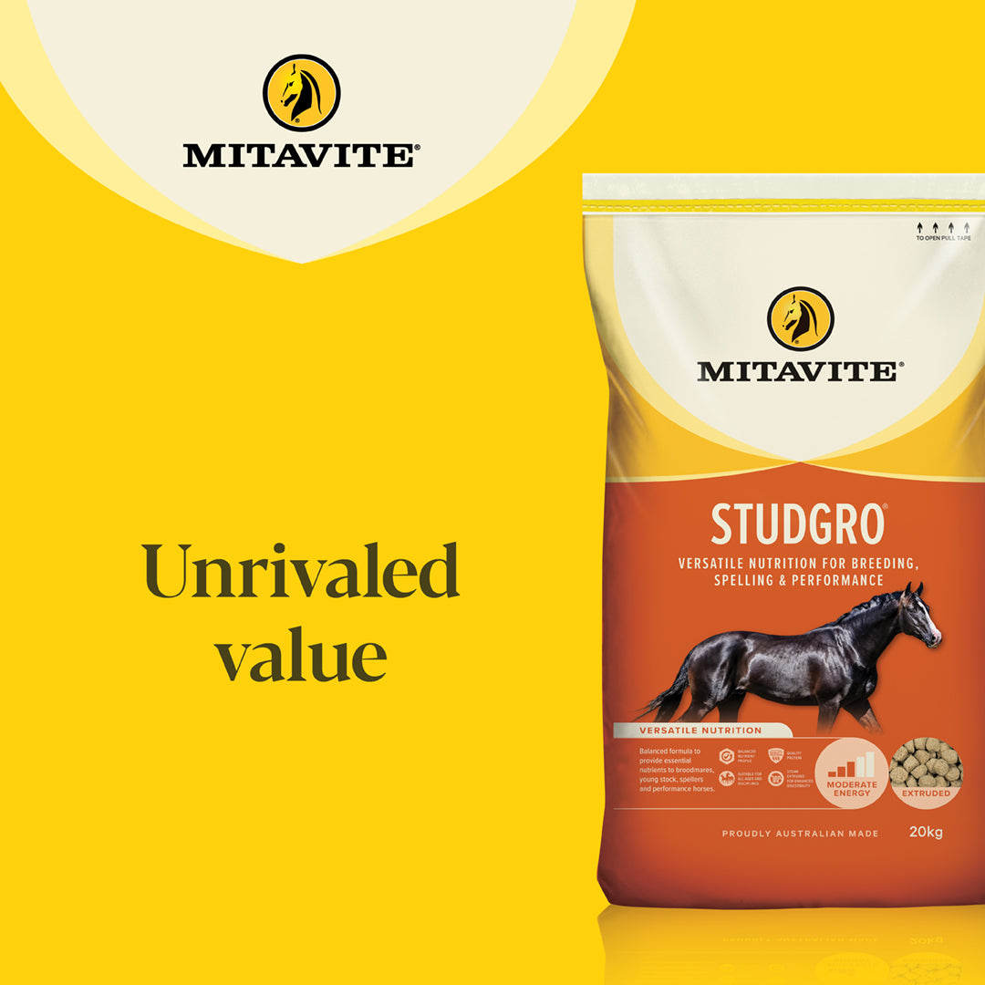 Mitavite Studgro 20kg