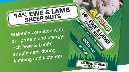 Ambos 14% Ewe & Lamb Nuts 20kg