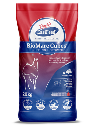 Prydes Bio Mare 20kg