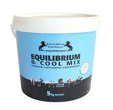 Equilibrium Blue 12kg