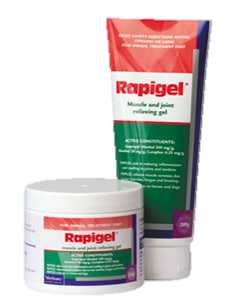 Virbac Rapigel 200g