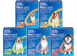 Nexgard Spectra 15.1-30kg 3 Pack
