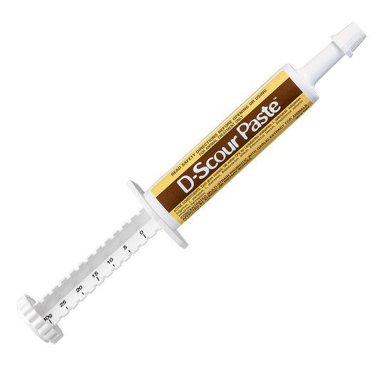 Iah D-scour Paste 30g